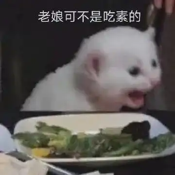 表情包小可爱来了