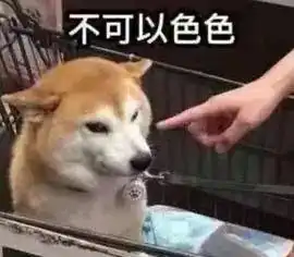 中国人均白毛控的梗,再次被坐实