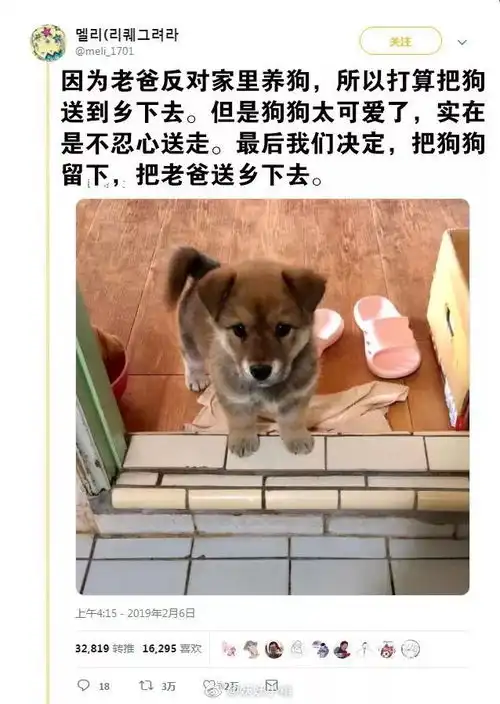 荟乐在危险的边缘疯狂试探,非常表情包了