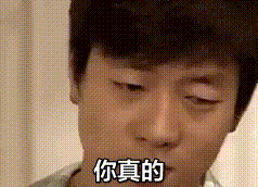 道理我都懂,可是我的猫为什么这么骚