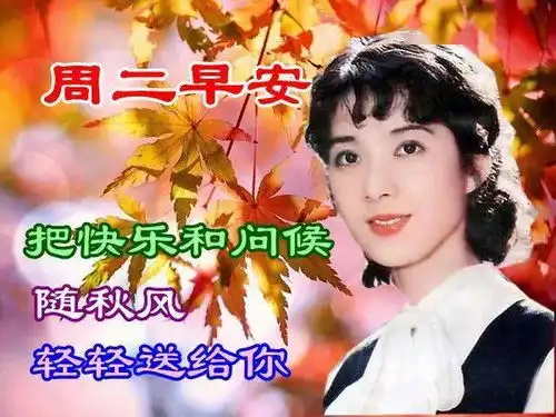 最新周二早上好表情包,小小的问候,带给你一天的快乐