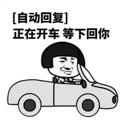 关于开车的表情包合集我可以约你一起开车吗