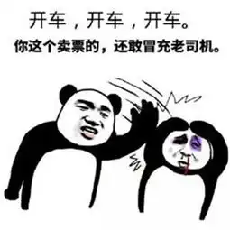 开车表情包我怀疑你在开车但我没有证据