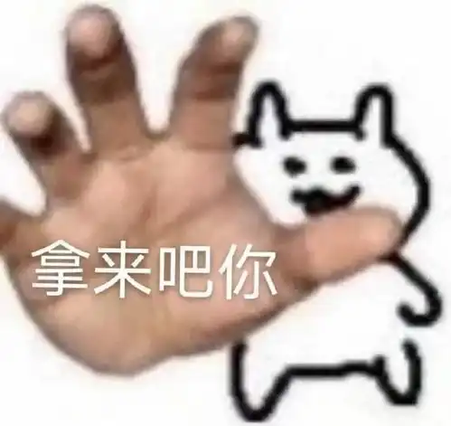 意外突发叫停比赛遣散所有观众