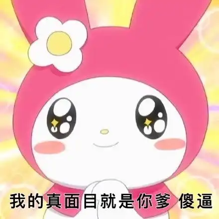 孙一宁孙姐语录表情包