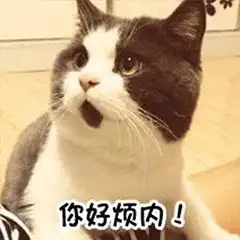 表情包愤怒的猫咪惹不得