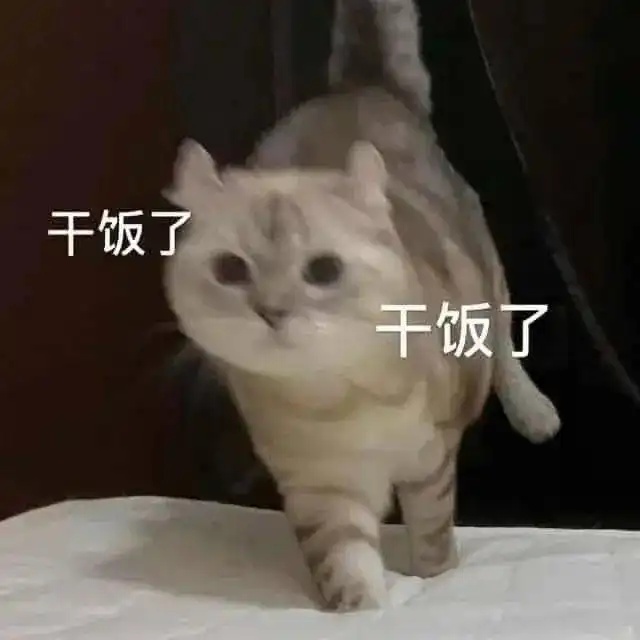 深大干饭人在吗这里有篇专门为你准备的文章深大快讯