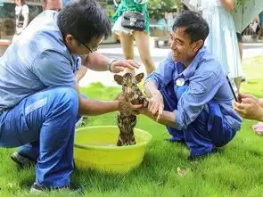 表情亮了快来围观小脑斧洗澡,虎宝宝开始拒绝后来真香