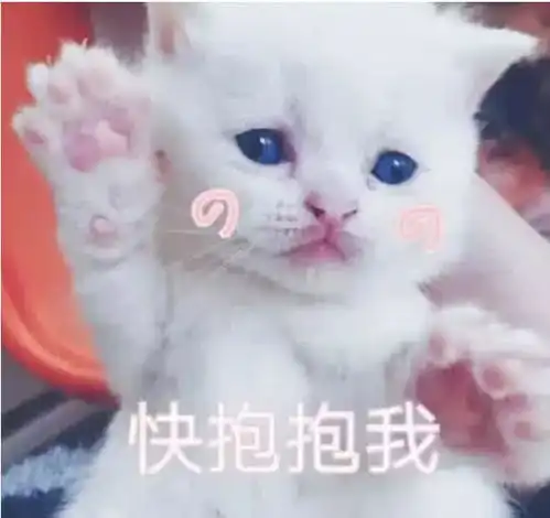 表情最近火了吃瓜表情包第一时间来到现场嘲笑,网友笑死我了表情
