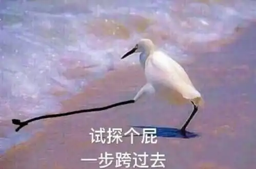 为了挑战人性,这群人一直在为所欲为
