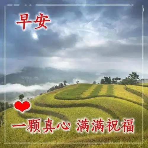 冬天天冷问候朋友的早上好暖心祝福语,早上很漂亮的问候语表情