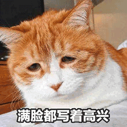不用工作的生活是怎样的羡慕到质壁分离