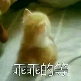 自截要天上星不要世间苦