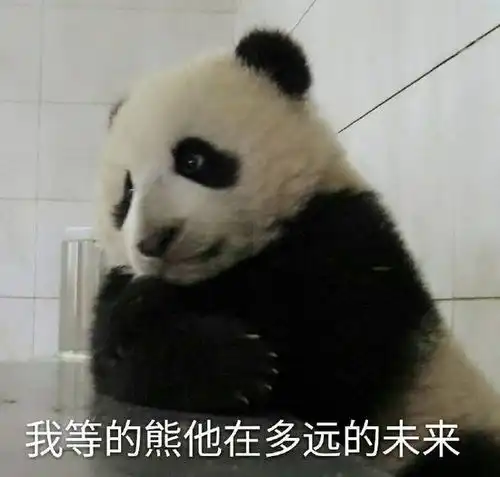 笑话段子练得不错,健身多久了咦,不怎么结实嘛