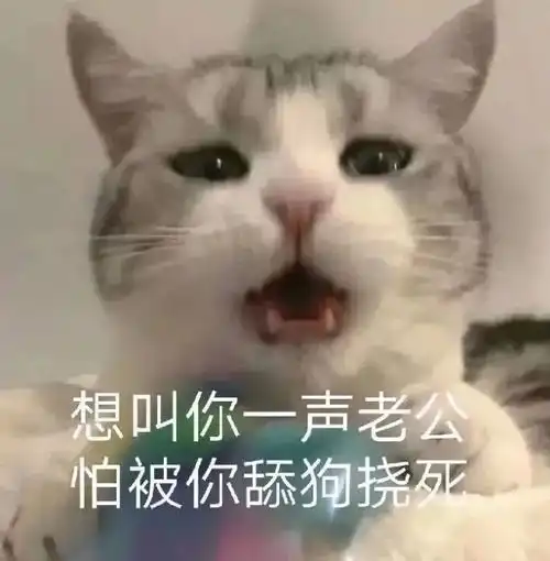可爱表情包终究是一个人扛下所有