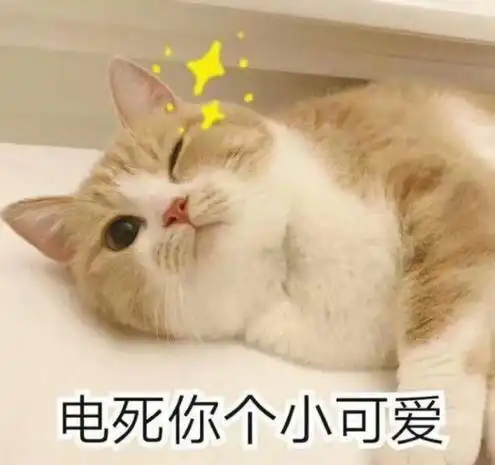 神回复跟女朋友互换手机玩,发现她有这种我没见过的表情包