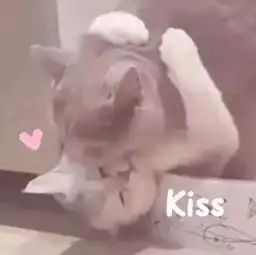 超宽眼距秃顶满脸bug的她是怎么做到美得撩人心怀