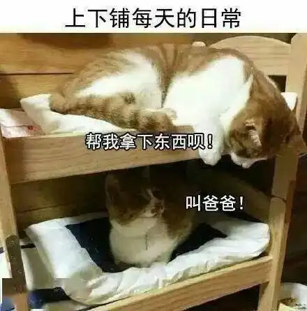 宿舍一线牵,珍惜这段缘