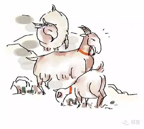 大年初三禁忌多这9个习俗,可别做错啦