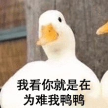 柳州这条坎坷上学路升级为沥青路预计明日完工