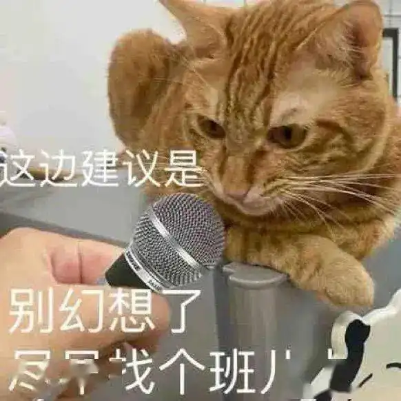 忍一时越想越气第258期喵表情