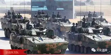 为中国执旗致敬中国军人