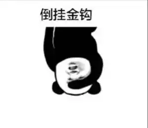 嘉嘉大伟开演啦