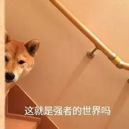 斗图表情包天呐,他也太可爱了吧