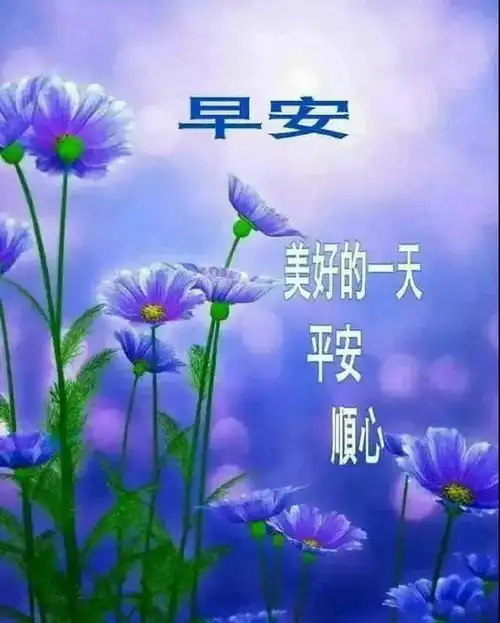 新的一天新的开始,不变的真诚问候和温馨的祝福,早上好