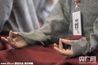 70位上海市民入玉佛寺坐禅静修没有朋友圈不看股票