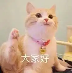 号外号外俅俅绘本阅读小课堂开课咯