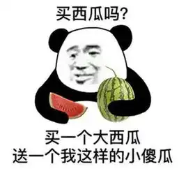 今年秋活,会有82吗
