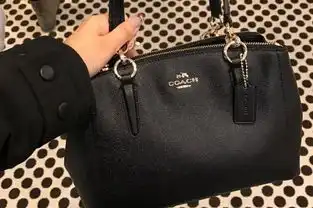 品牌排行网丨这十大奢侈包包是不是有你不认识的呢