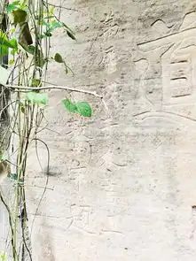 自贡摩崖石刻之登云大道摩崖石刻