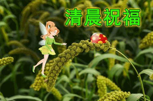 周六早上好祝福表情包,天气在变,思念不变季节在变,关怀不变