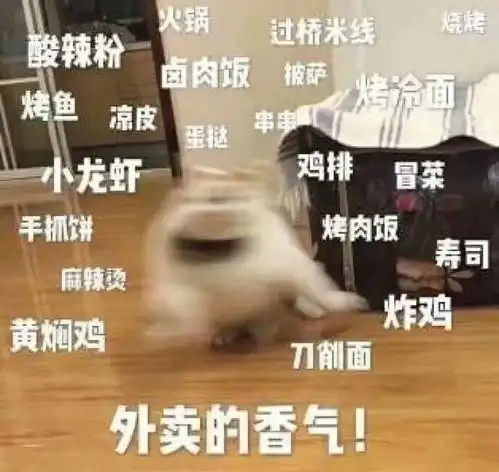 可爱猫猫表情包为了生活