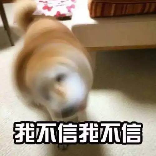 顶着这样一张脸,总有人问我混哪里