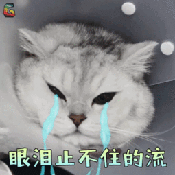 百分燃脂真香警告女生减肥凭什么这么难