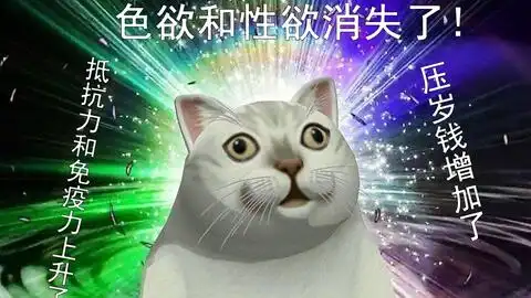 mur猫表情包合集沙雕小猫表情包