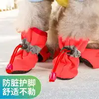神经猫宠物服饰神经猫小猫咪衣服多少钱