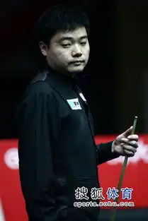 中国赛丁俊晖vs马福林丁俊晖没表情