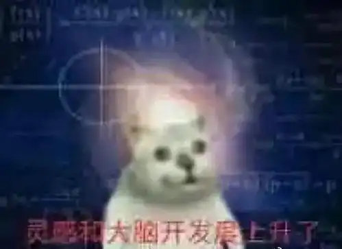 只讲真话张文宏重症治疗方案讲了你也不懂哈哈哈哈太硬核