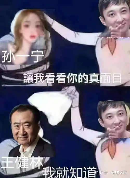 如何看待王思聪和孙一宁的聊天记录被曝光