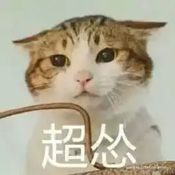 萌宠表情包带字图片