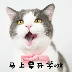 qq个性中心qq个性签名qq个性印象qq分组