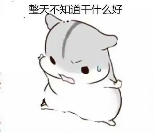 仓鼠表情包等老婆一起睡觉觉