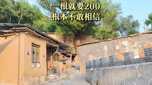 深山农家乐避暑,一天60包吃住,没想到会碰到这样的事情