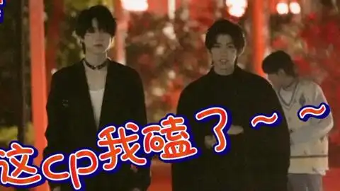 我磕了对家x我的cp二合一