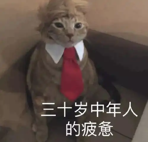 魅族16s价格黄章自曝现货你买吗渐变色iphone曝光