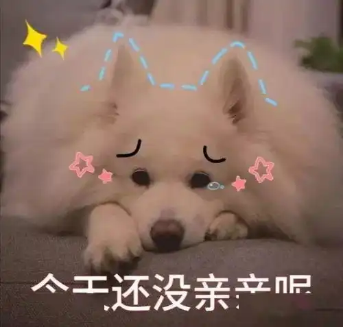 英子表情包100张各种场景都适用的表情包动图,让你无法拒绝聊天超有用